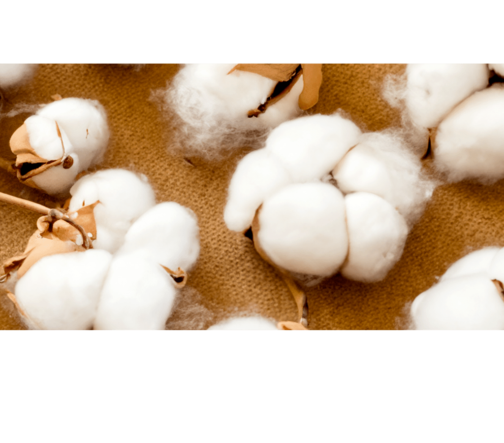 Recycled Cotton — the Good, the Bad, the Ugly - Karma Rizz